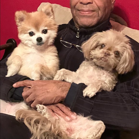 Meet your Posher, George - Picture 1 of 1